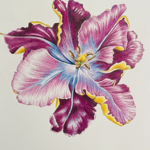 blomst rosa
