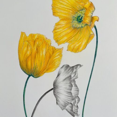 gul blomst