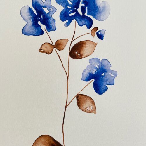 blå blomst